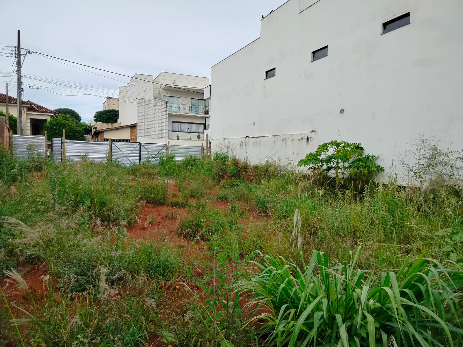 WhatsApp Image 2026-03-07 at 12.39.58 (3).jpeg