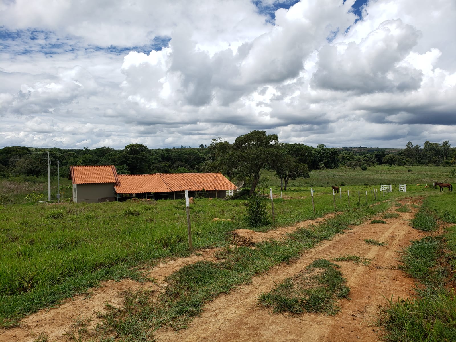 db9ce9e4763b4c9185e34fb34d1f8487 (1).jpg