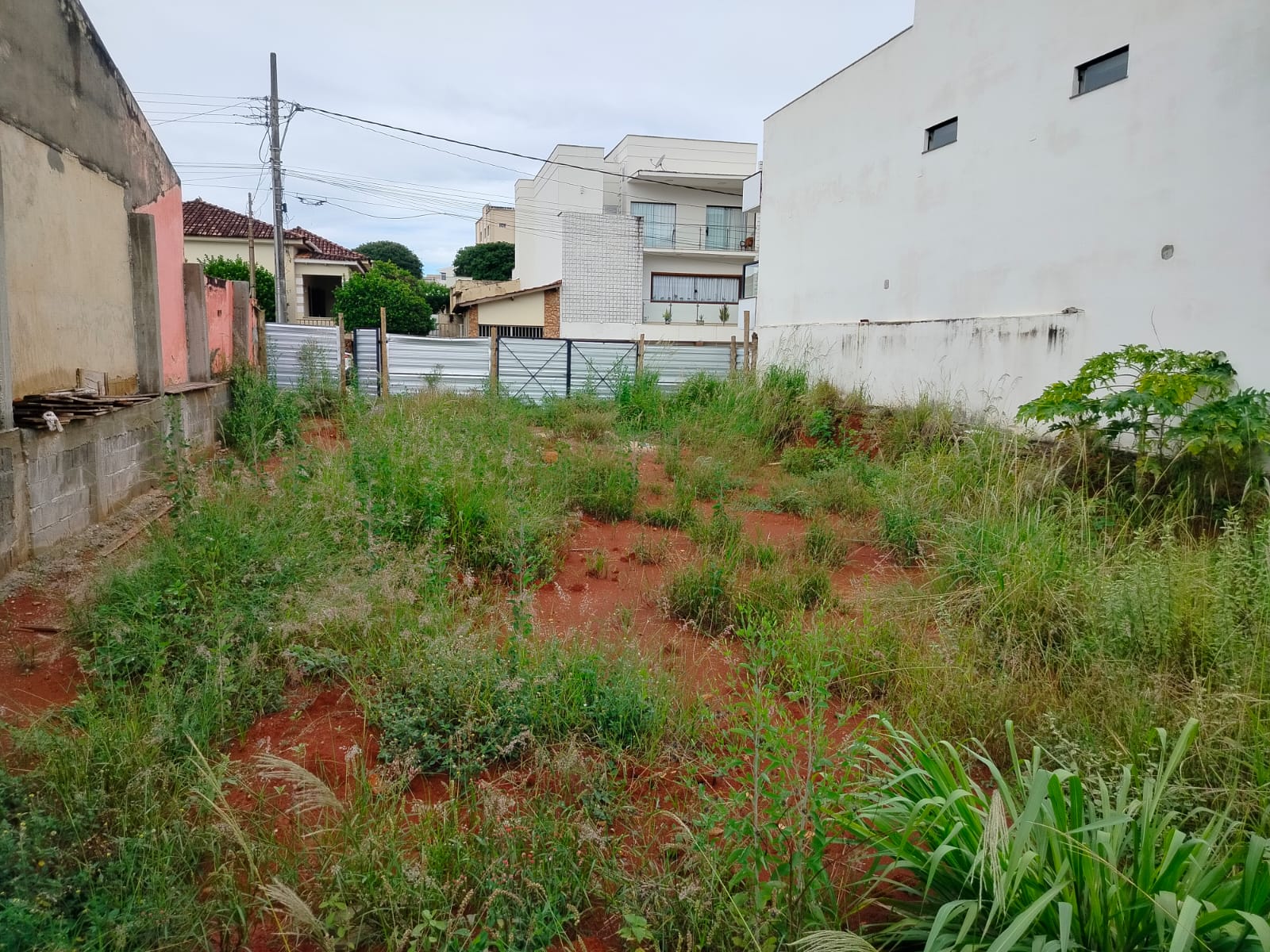 WhatsApp Image 2026-03-07 at 12.39.57 (1).jpeg