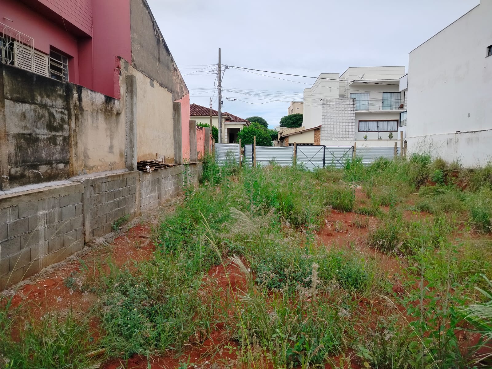 WhatsApp Image 2026-03-07 at 12.39.58 (1).jpeg