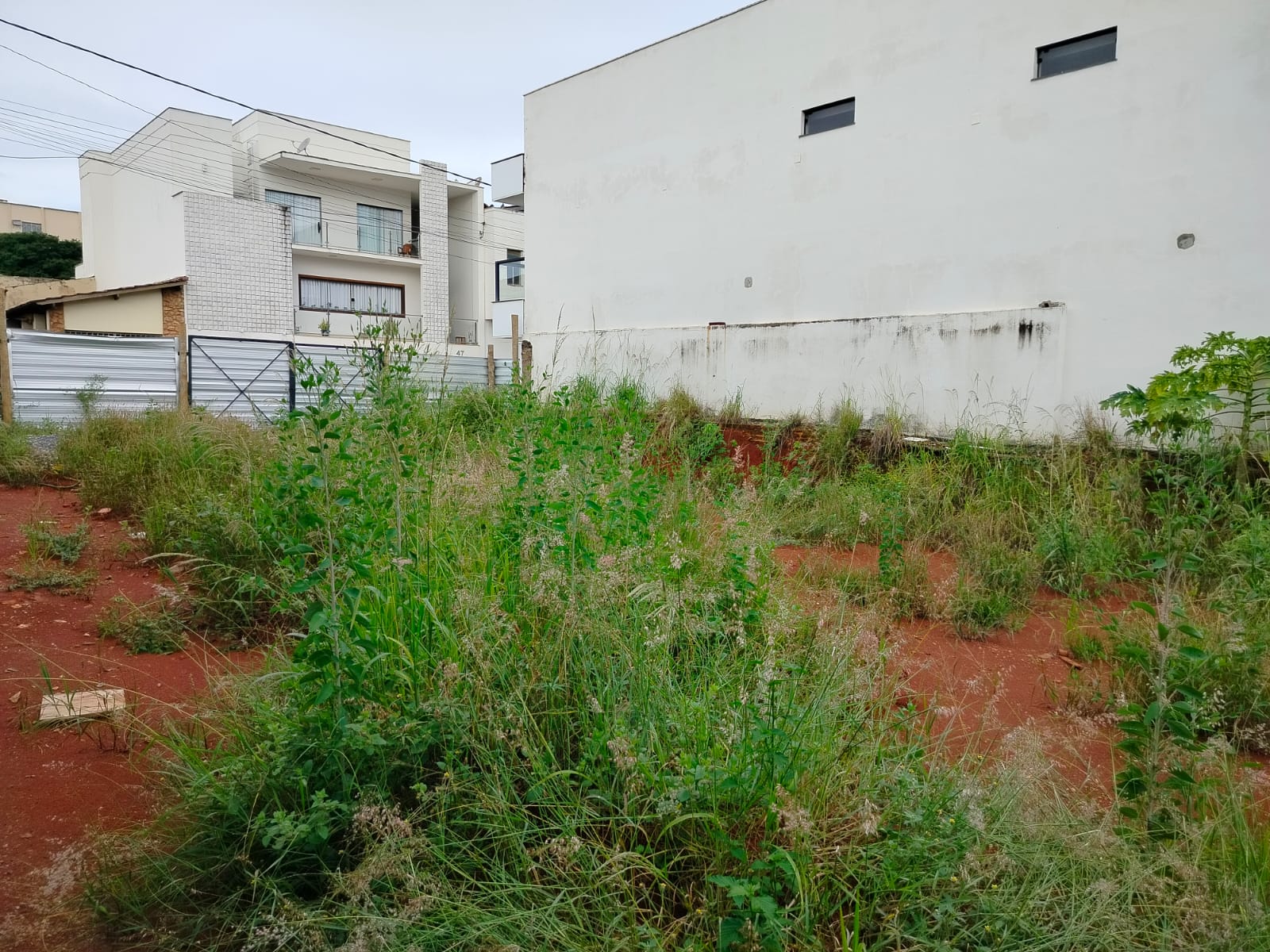 WhatsApp Image 2026-03-07 at 12.39.57.jpeg