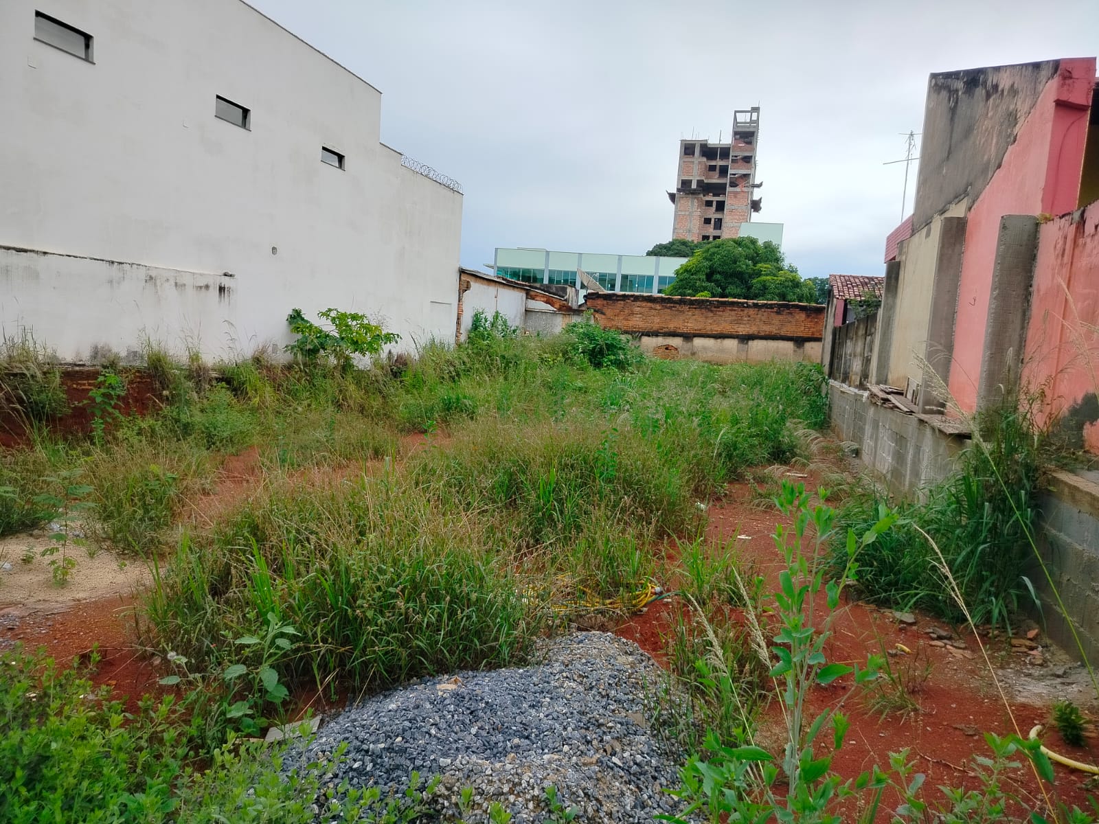 WhatsApp Image 2026-03-07 at 12.39.58 (2).jpeg