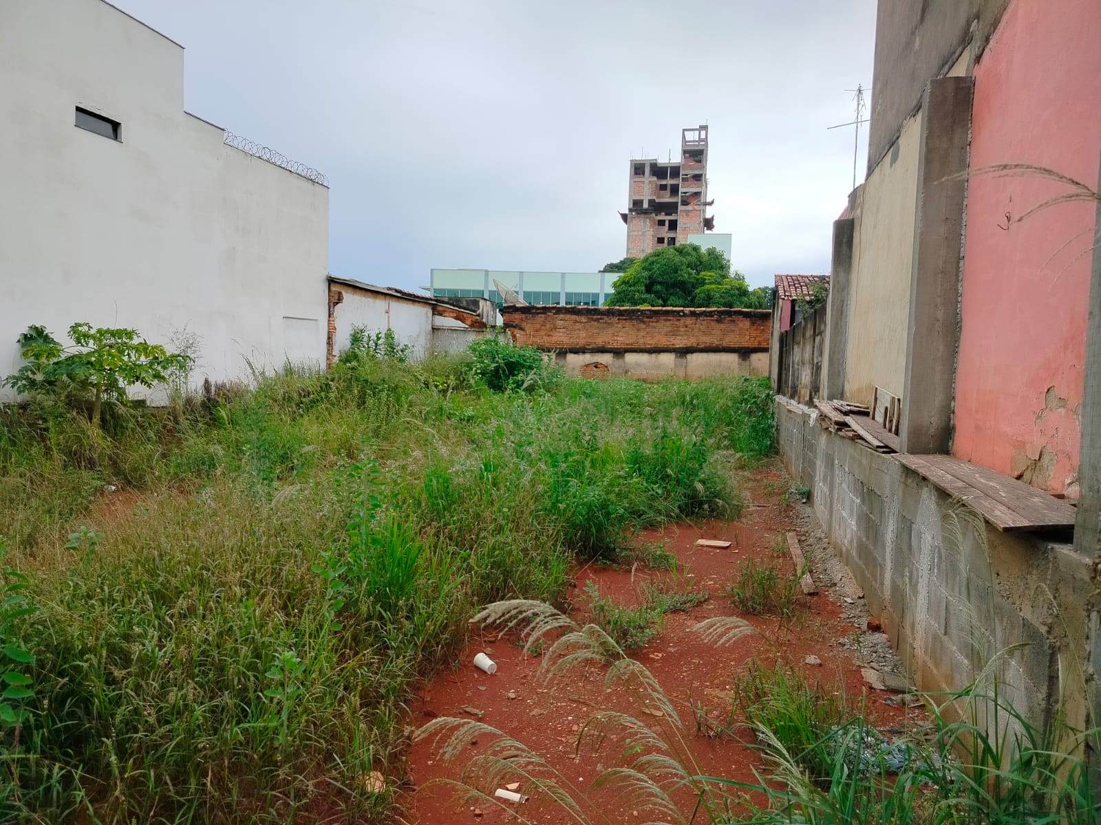 WhatsApp Image 2026-03-07 at 12.39.57 (2).jpeg